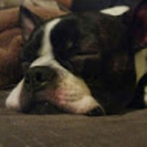 Meet your Posher, Sam